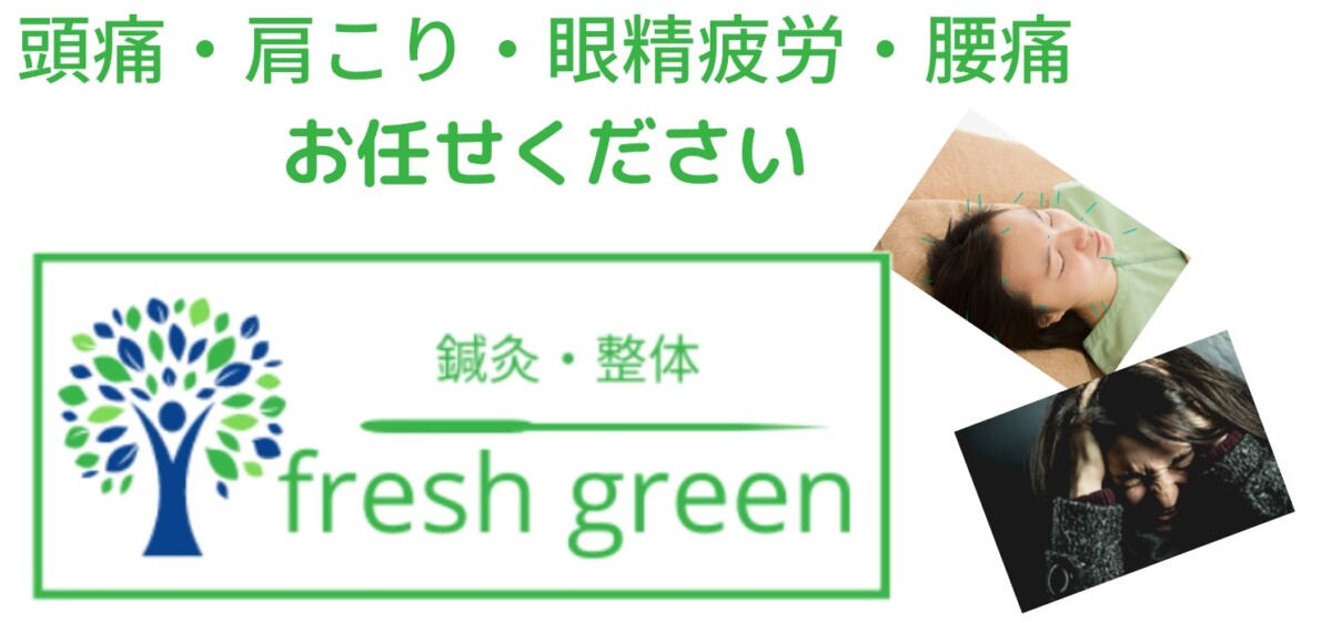 鍼灸・整体 fresh green
